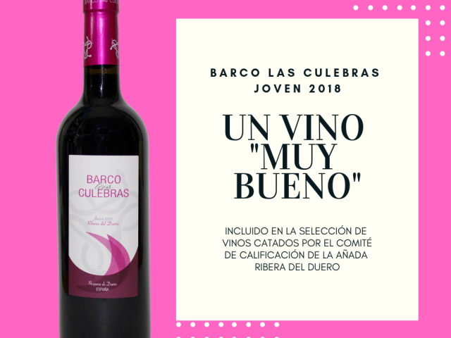 barco-las-culebras-joven-2018-muy-bueno