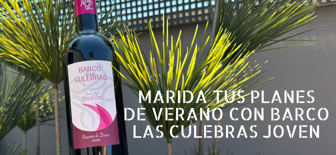 barco-las-culebras-joven-verano