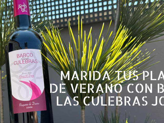 barco-las-culebras-joven-verano