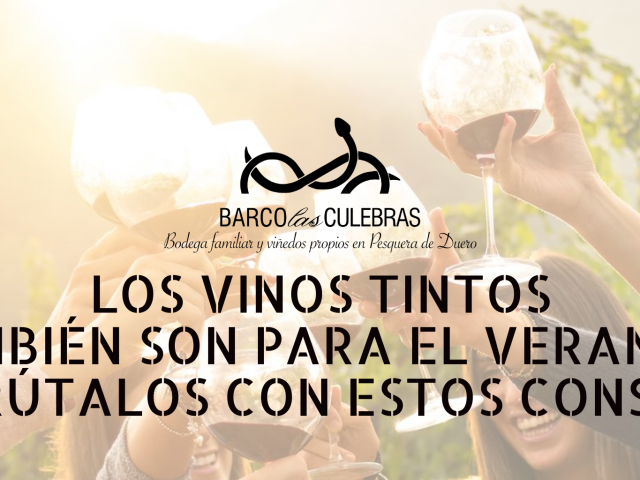 vino-tinto-verano-barco-las-culebras
