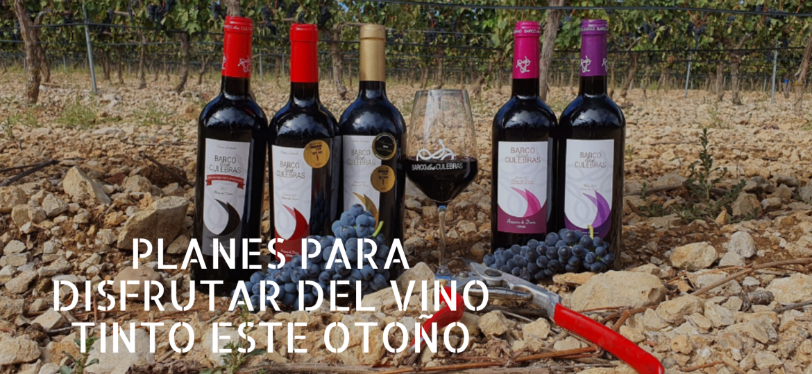 planes-para-disfrutar-del-vino-tinto