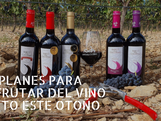 planes-para-disfrutar-del-vino-tinto