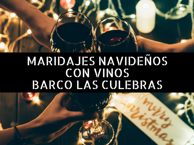 maridajes-navideños
