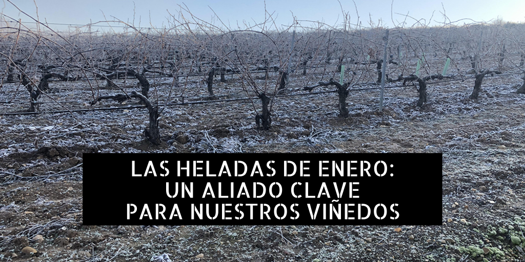 heladas