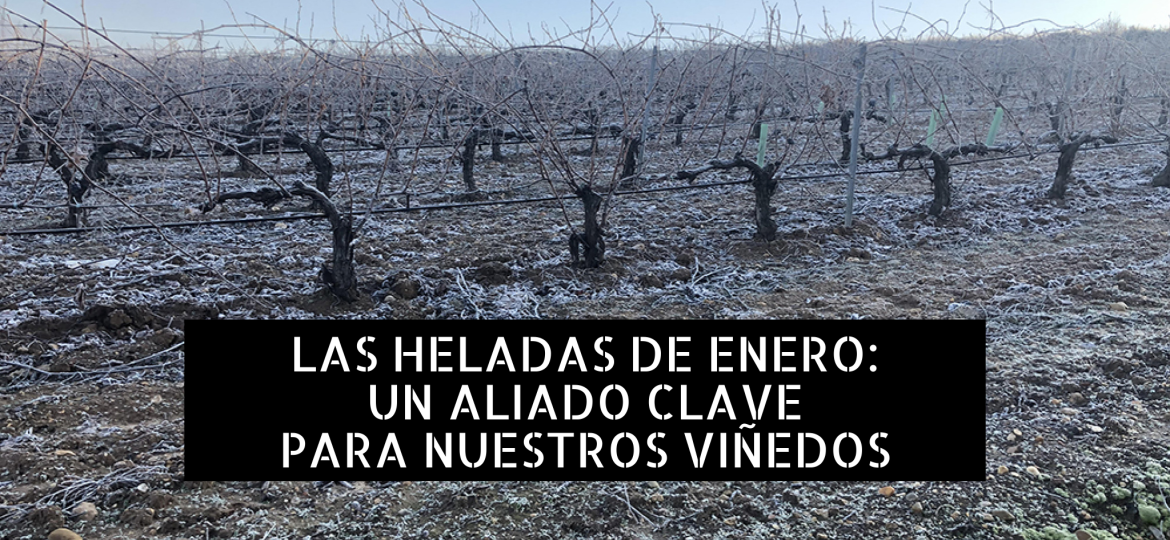 heladas