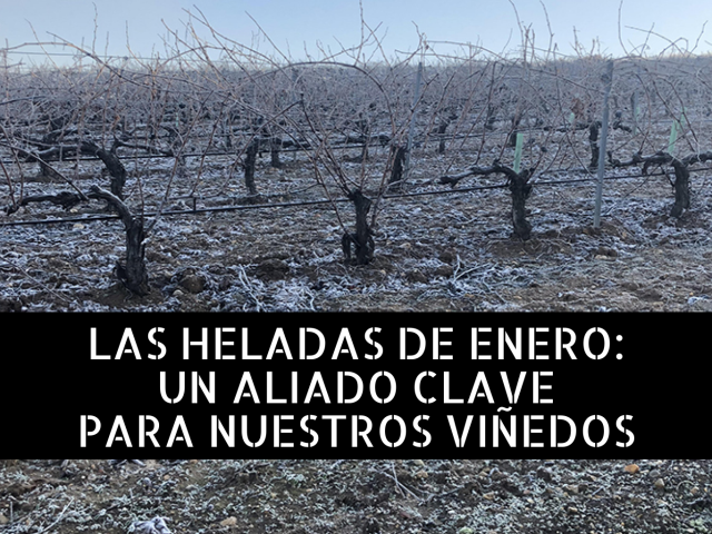 heladas