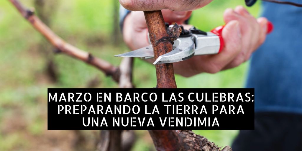 marzo