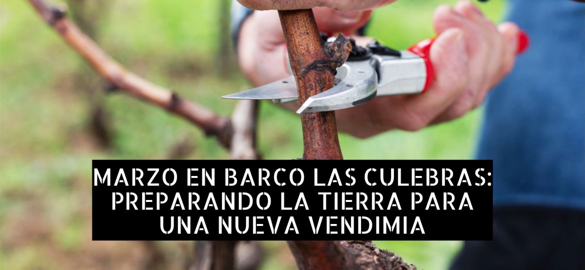 marzo