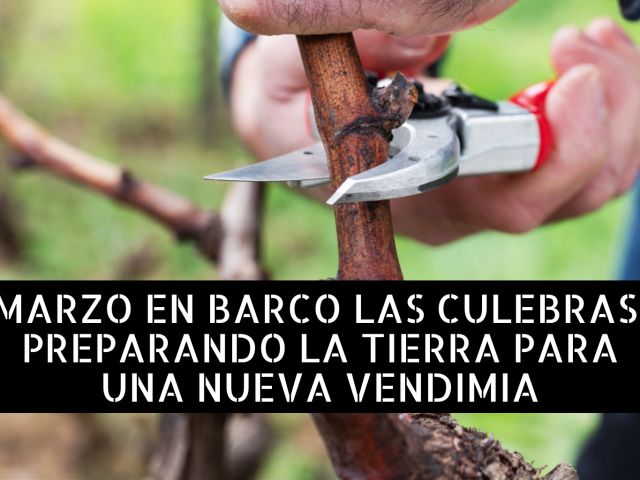 marzo