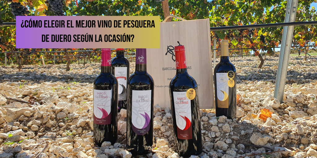 mejor vino de Pesquera de Duero