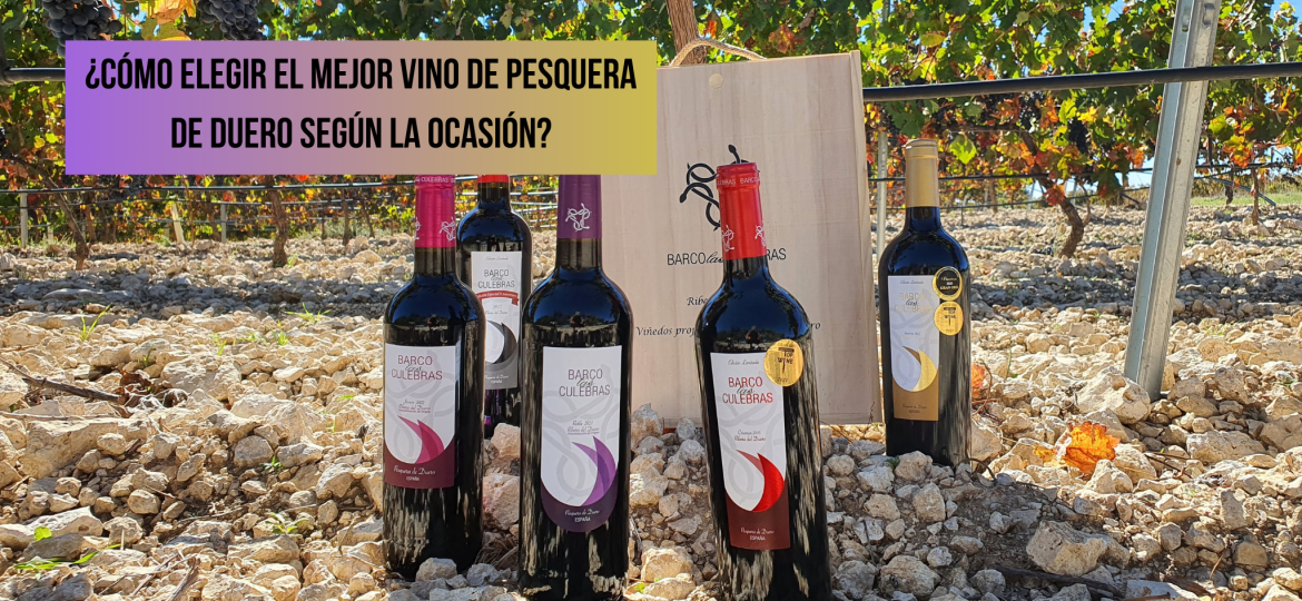 mejor vino de Pesquera de Duero