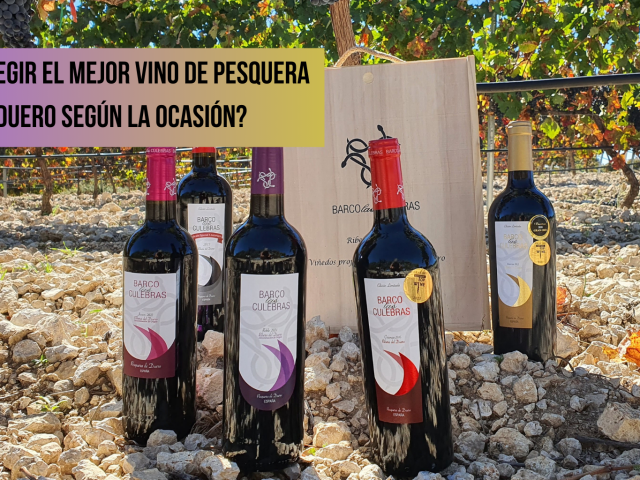 mejor vino de Pesquera de Duero