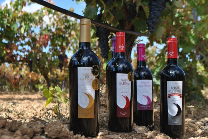 Vinos de Pesquera de Duero en Bodega Barco Las Culebras