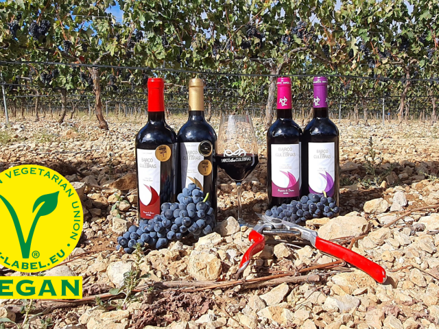 vinos-veganos-ribera-del-duero