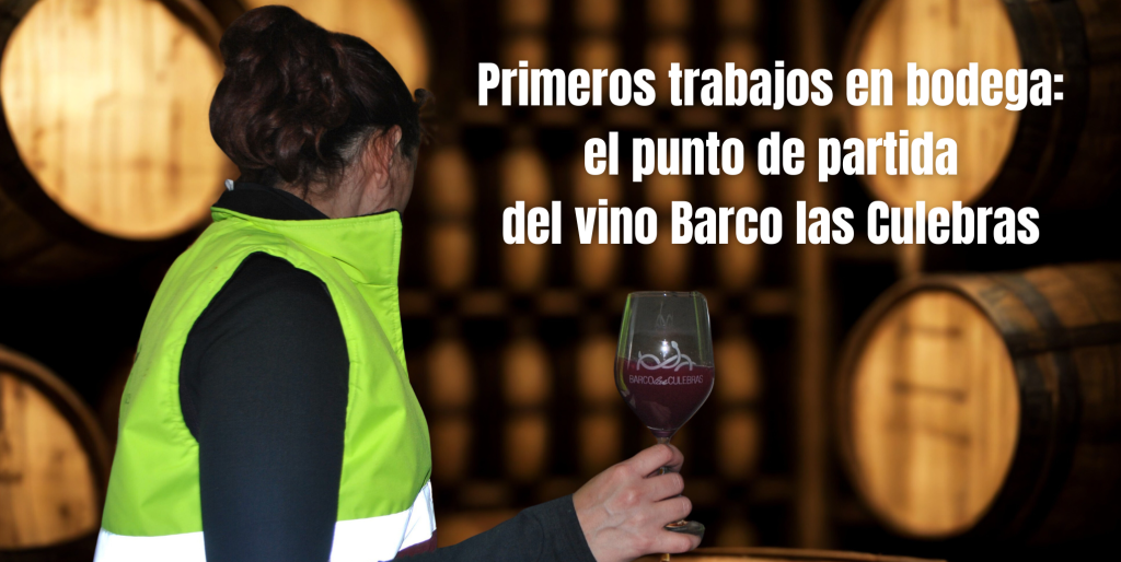 primeros-trabajos-en-bodega