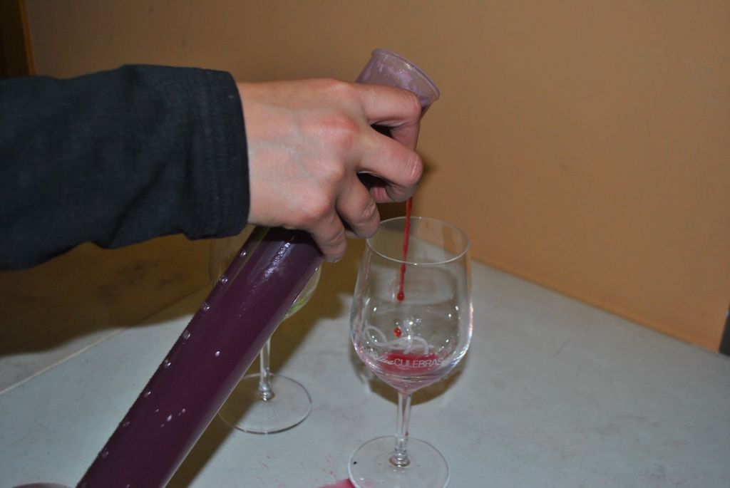 primeros-trabajos-en-bodega-3