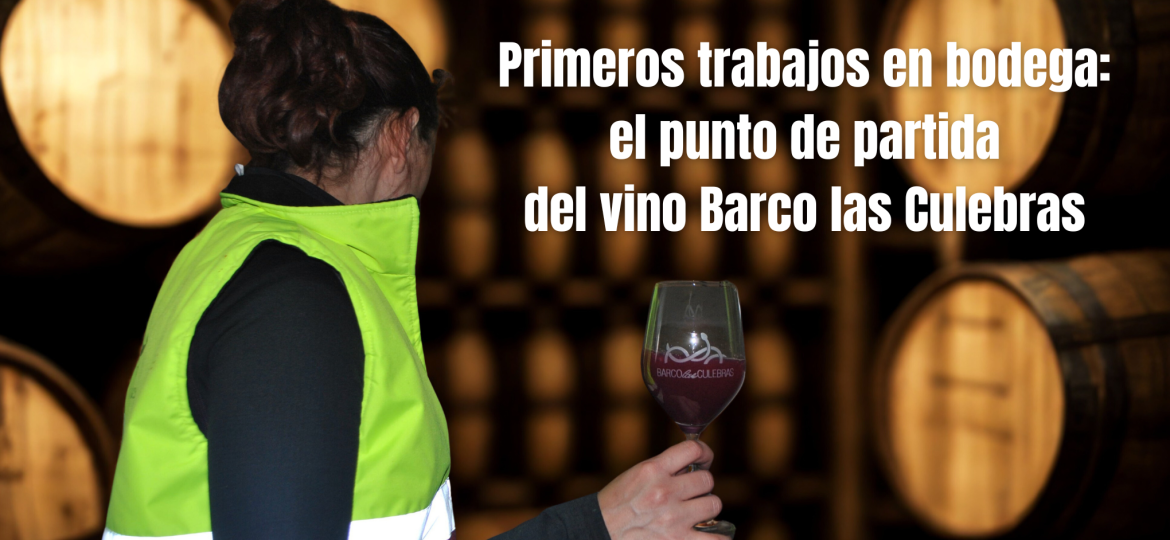 primeros-trabajos-en-bodega