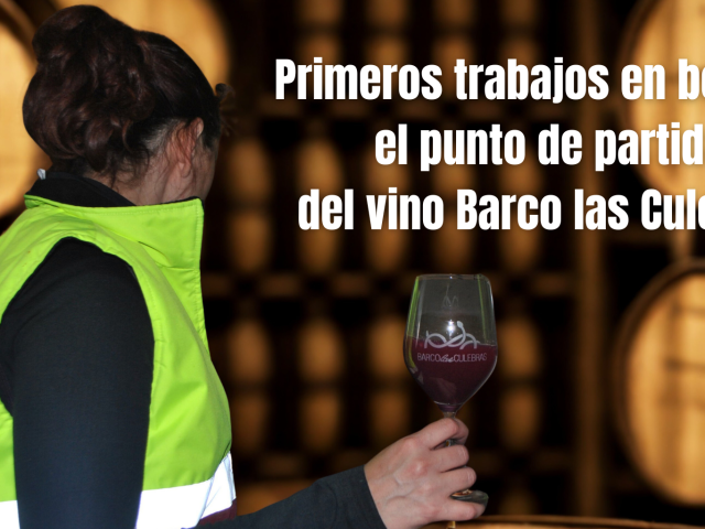 primeros-trabajos-en-bodega